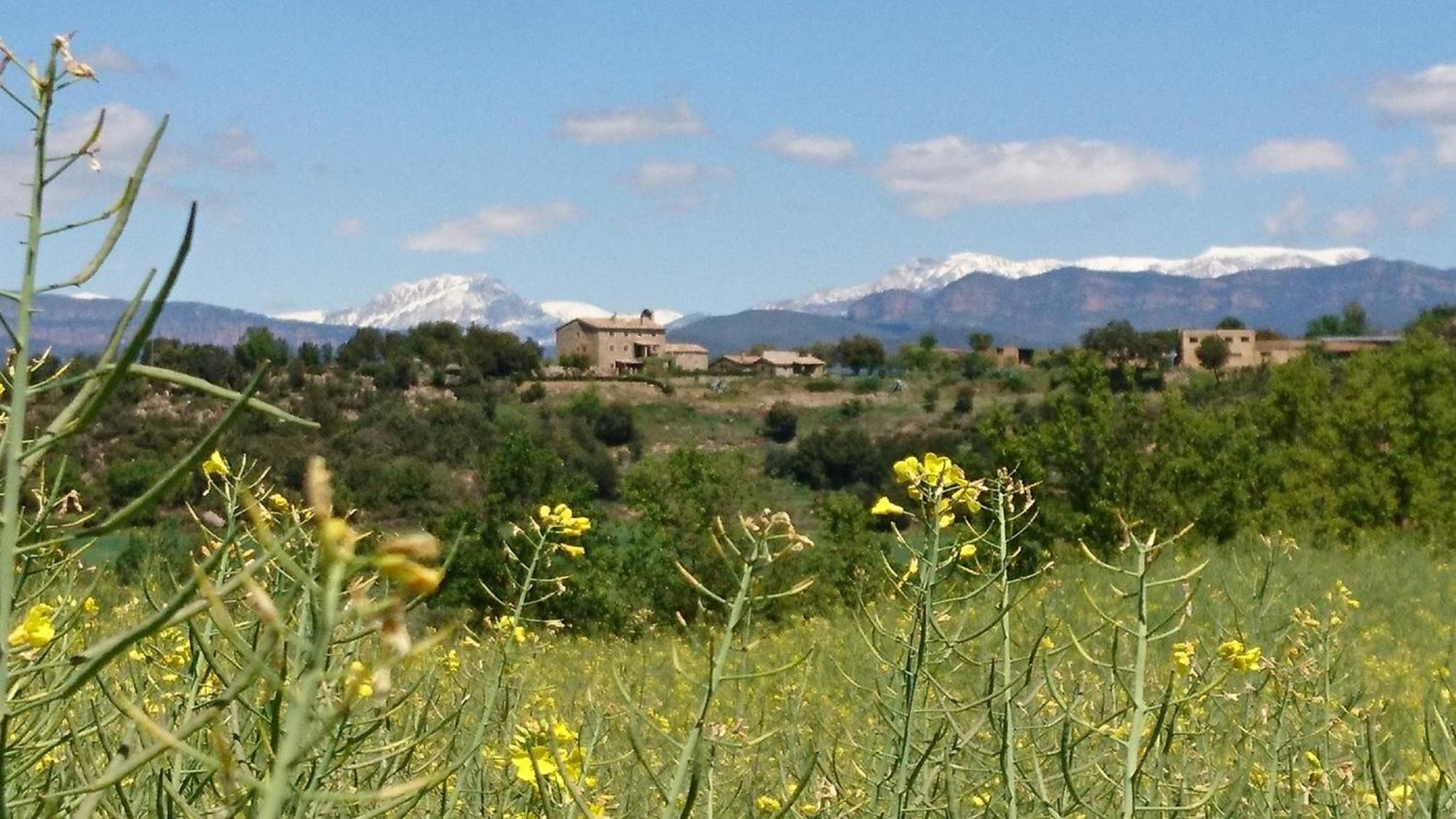 Casa Rural Sant Grau Turismo Saludable Y Responsable Solsona Luaran gambar
